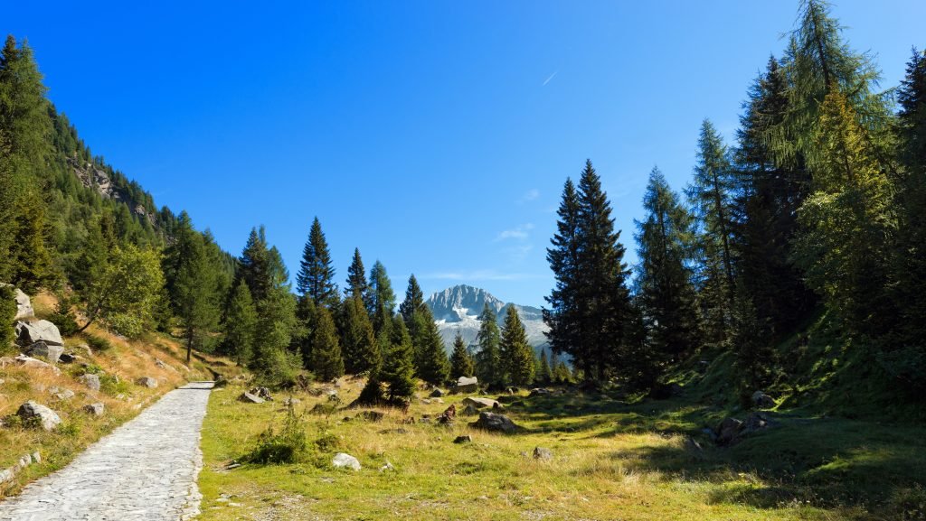 Parco-Naturale-Adamello-Brenta