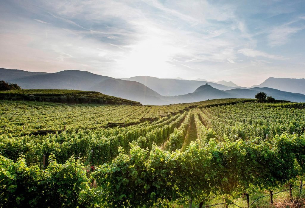 Strada del Vino dell'Alto Adige