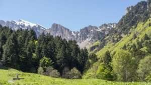 Marguareis Nature Park and Val Pesio – Prato Nevoso