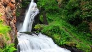 Cavalese-cascate