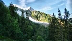 Glacier des Bossons