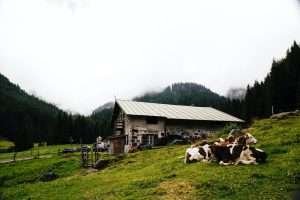 Laghi di Colbricon, Baita Segantini e Val Venegia – Predazzo