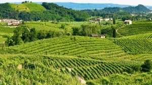 Come scegliere la località giusta – Veneto