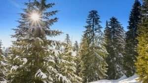 Langlauf – Asiago
