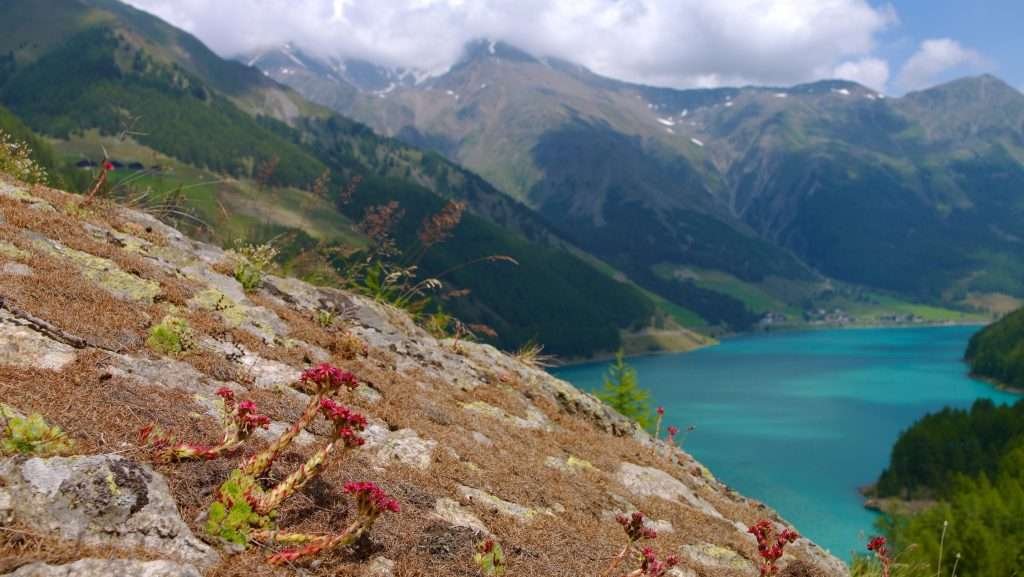 lago-di-vernago