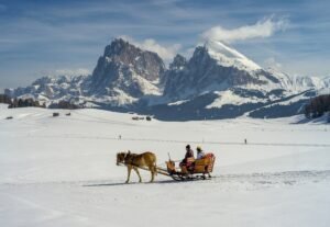 Slitta trainata da cavalli sull'Alpe di Siusi