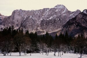 Neve e montagne ai Laghi di Fusine