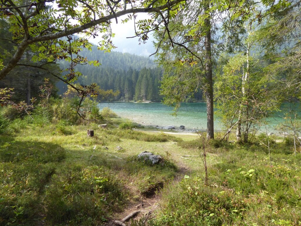Sentiero sulla riva del Lago di Tovel