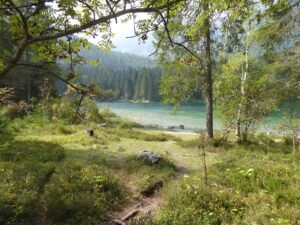 Sentiero sulla riva del Lago di Tovel