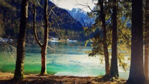 Laghi di Fusine